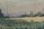 Vastness