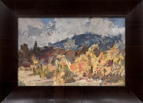 Кримські виноградники